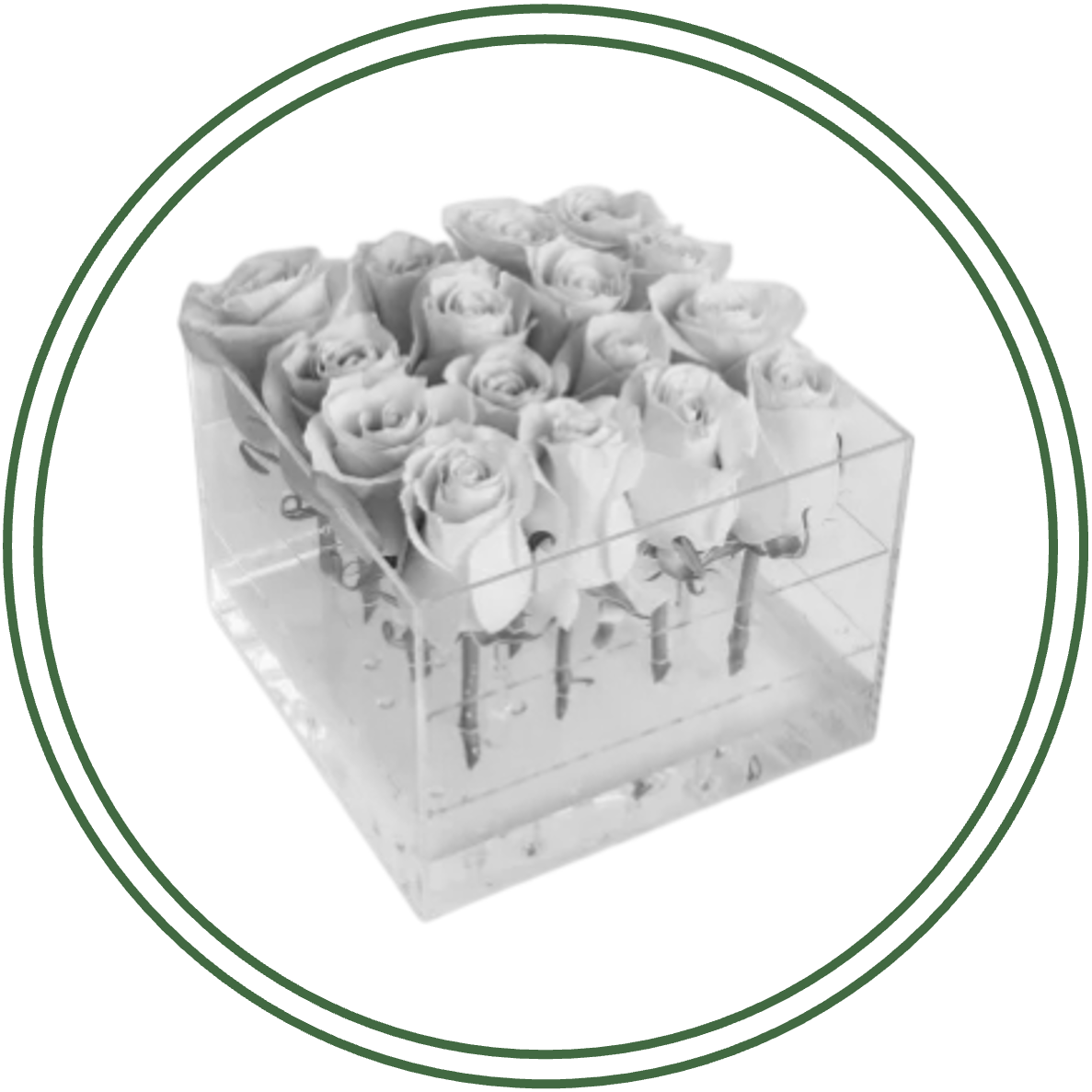 أحواض الاكريلك